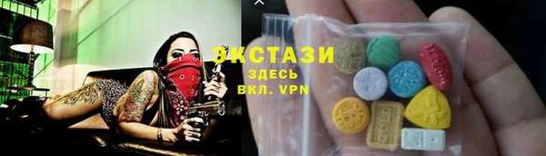 гидра Богородск