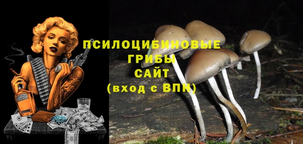 гидра Богородск