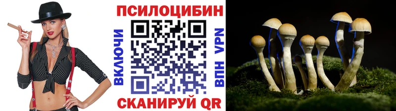 закладки  Свободный  Галлюциногенные грибы GOLDEN TEACHER 